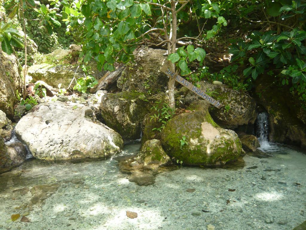 Namaste Bungalows Sakti Luaran gambar